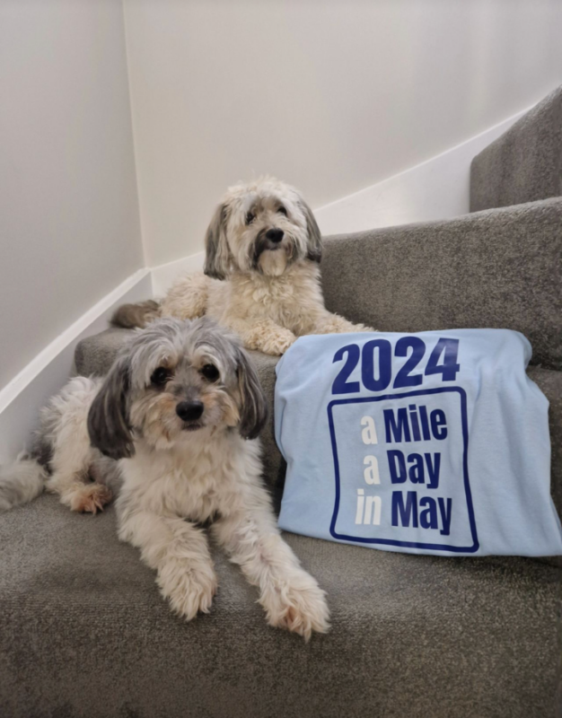 Charlene's Dog for mile a day in may