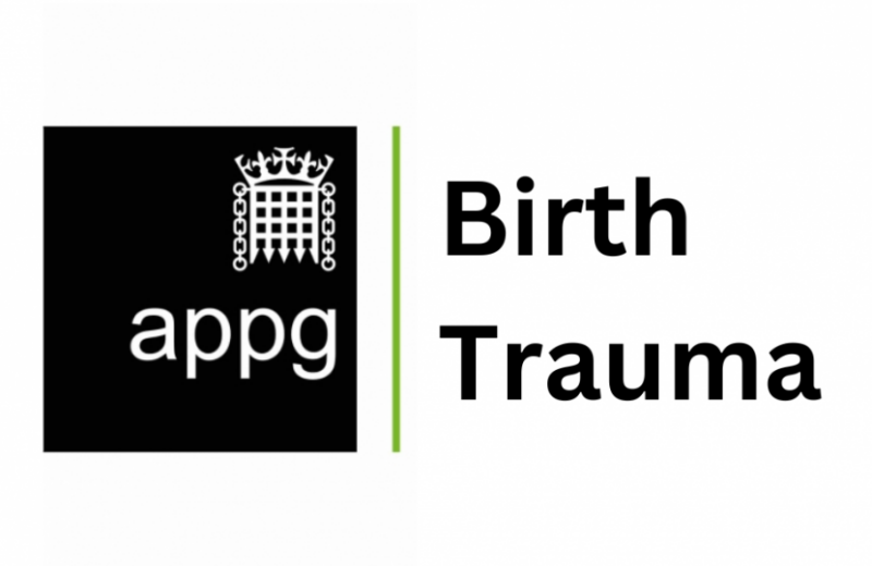 Logo for the All-Party Parliamentary Group Birth Trauma inquiry