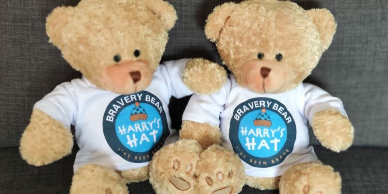 Harry's HAT bravery bears